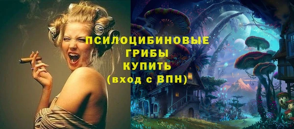 spice Бутурлиновка