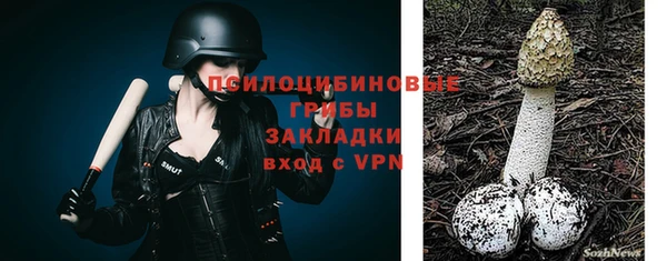 spice Ладушкин
