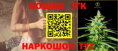 шишки Гай