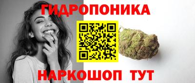 PSILOCYBIN Гагарин