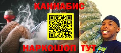 гидра Гатчина