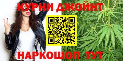 гидра Гатчина
