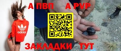 шишки Гай