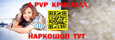 шишки Гай
