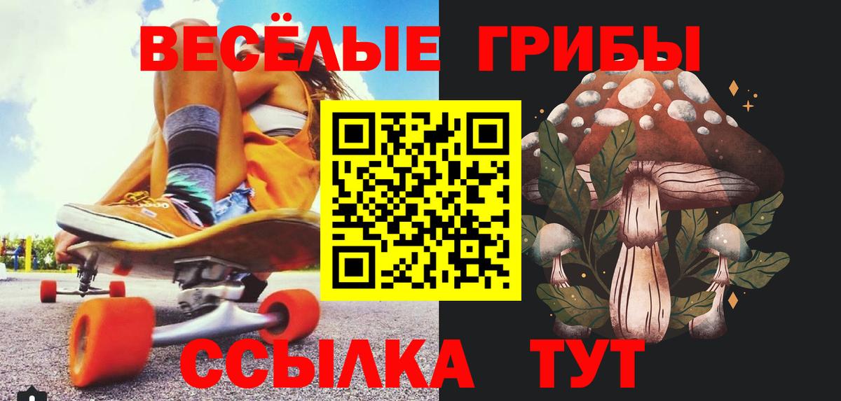 Галлюциногенные грибы Psilocybine cubensis  Вход с VPN  Лесной 