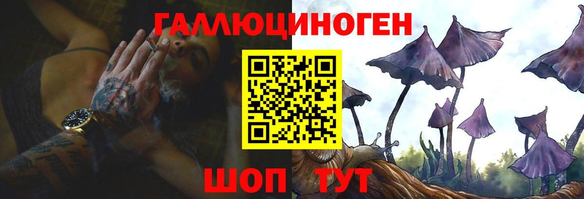 Псилоцибиновые грибы Psilocybe Лесной