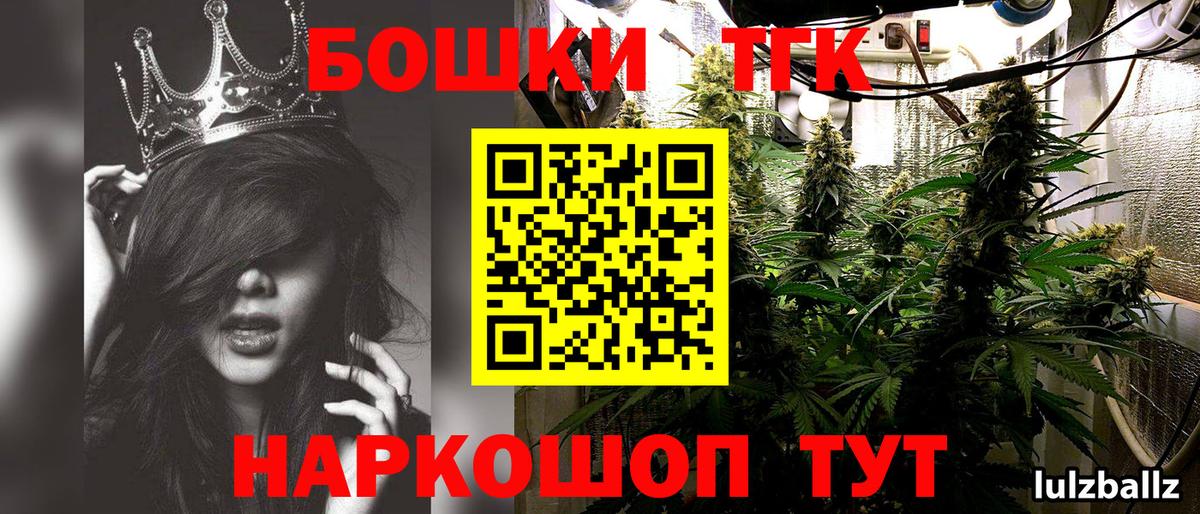 Конопля планчик Лесной